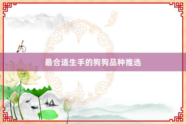 最合适生手的狗狗品种推选